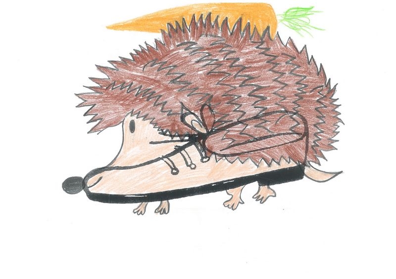 img 210095421 0003 m