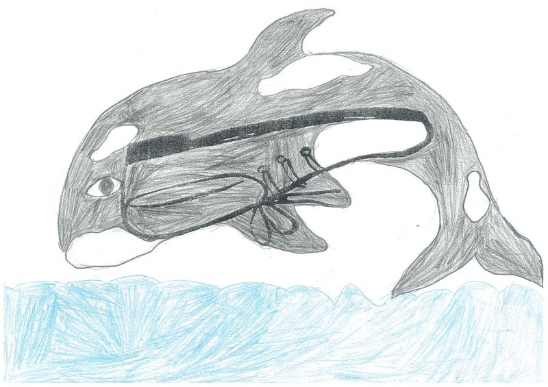 img 210095421 0010 m